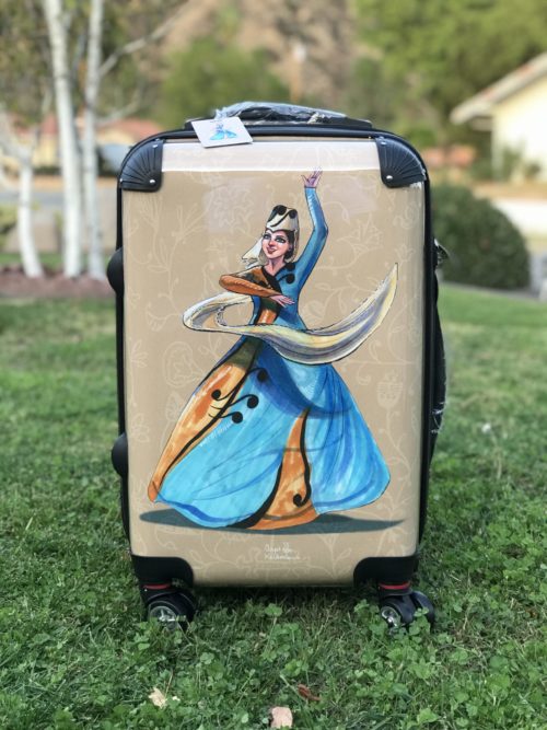 Alin Luggage (carry-on)