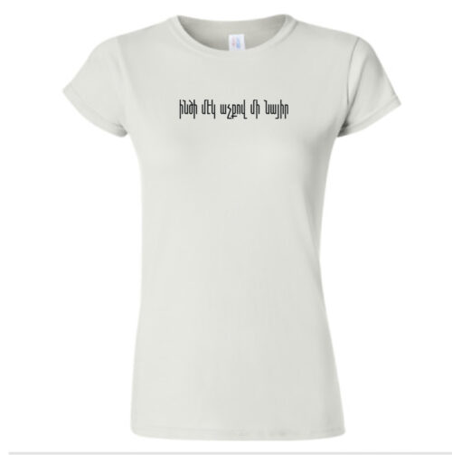 Eendzee meg achkov mee nayir T-shirt