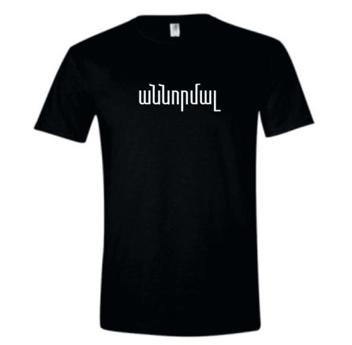 AhnNormal T-shirt