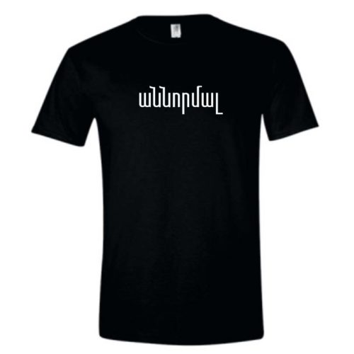 AhnNormal T-shirt